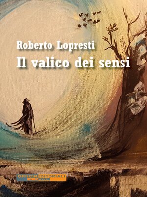 cover image of Il valico dei sensi